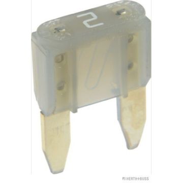 50295572  ΑΣΦΑΛΕΙΑ ΜΑΧΑΙΡΩΤΗ ΜΙΝΙ 2A ΓΚΡΙ    HERTH+BUSS ELPARTS - Fuse ΑΣΦΑΛΕΙΑ ΜΙΝΙ 2Α - 