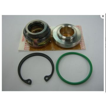 EK2043 (24021 - 34 )     ΤΣΙΜΟΥΧΑ    ΑΞΟΝΑ ΣΤΥΠΙΟΘΛΙΠΤΗΣ    SHAFT SEAL SANDEN SD508 / 510 / 507 EARLY (CP7265)    AE Compressor Parts ::  Compressor Seals  for Sanden 507 / 508 Shaft Seal Kit - 