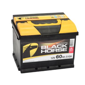 BLACK HORCE 12V - 